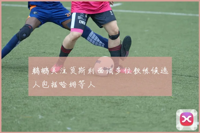 鹈鹕关注莫斯利面试多位教练候选人包括哈姆等人